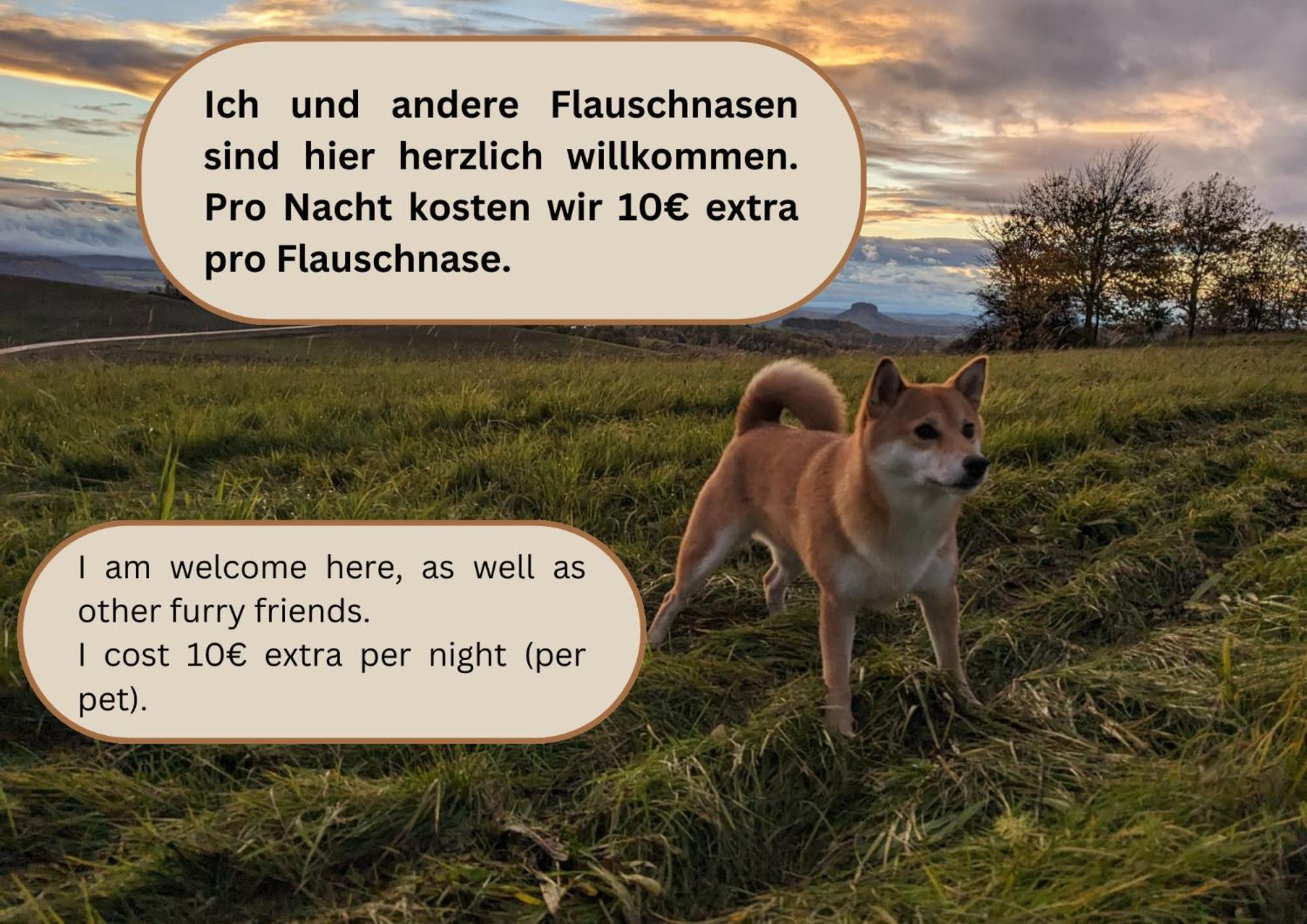 S3 - Urlaubsmagie - Fuer 4P Mitten Im Elbsandsteingebirge Sebnitz Buitenkant foto